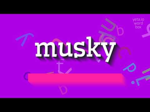 MUSKY - HOW TO PRONOUNCE MUSKY? #musky