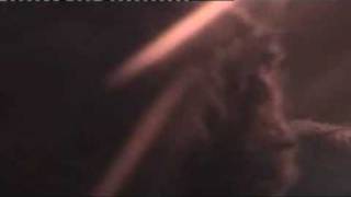 Patrice-He dont answer.live@Arenele Romane.Bucharest 2008