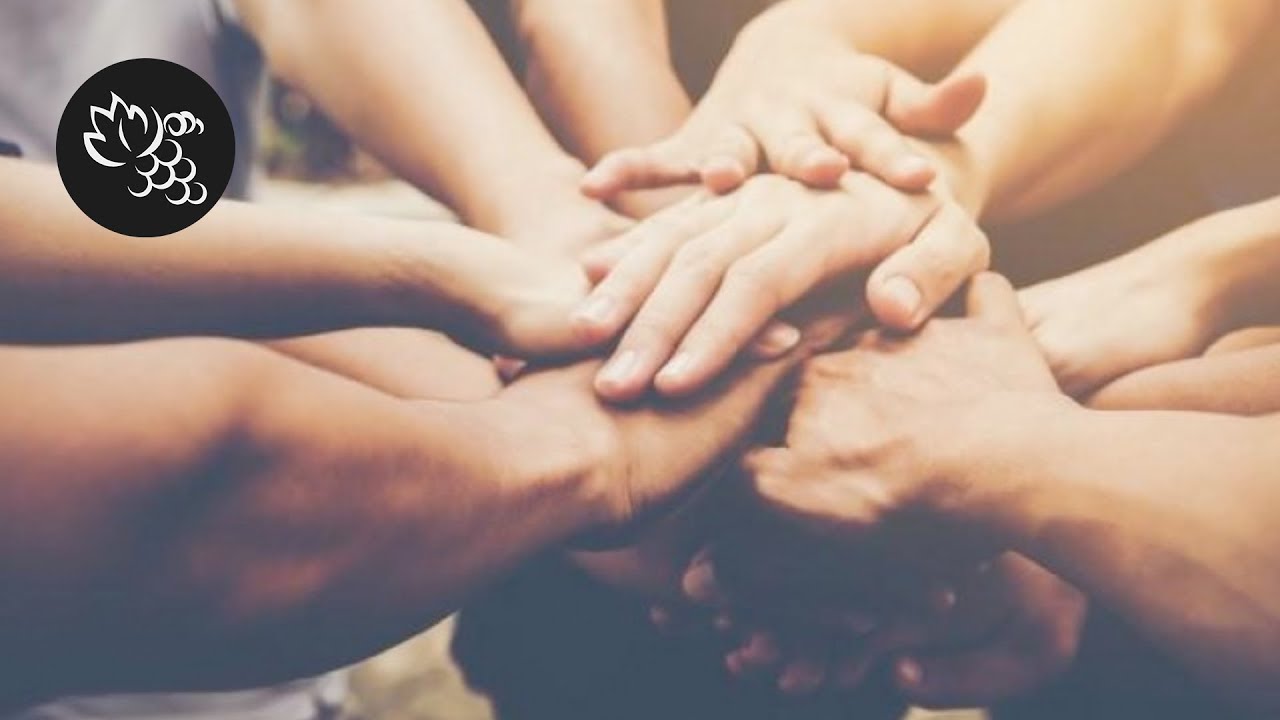 Sete princípios sobre lealdade / Pr Aluizio Silva / Videira Flórida