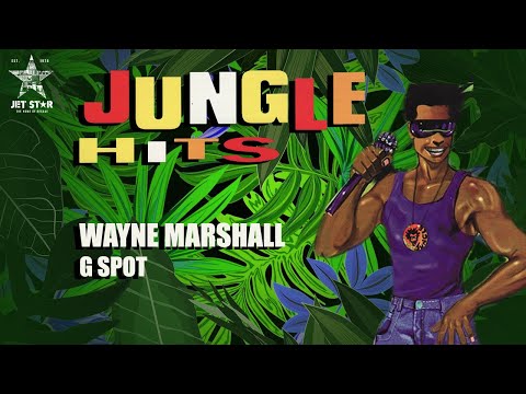 Wayne Marshall - G Spot (Official Audio) | Jet Star Music