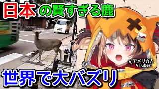アメリカ人「日本は鹿すら行儀が良いのか？」【ホロライブ切り抜き / 英語解説 / ジジムリン】