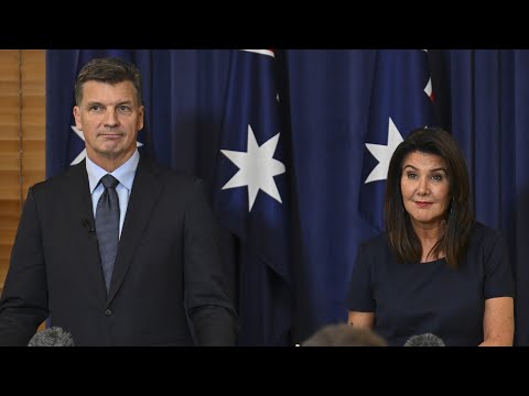 ‘Stand up and fight’: Angus Taylor's ‘big task’ to prosecute Liberal Party values