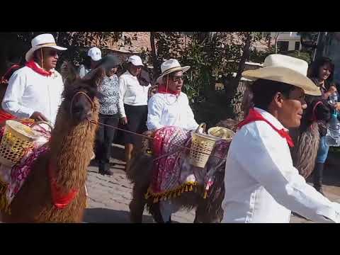 Rey de Reyes Chimborazo/Chambo 2024