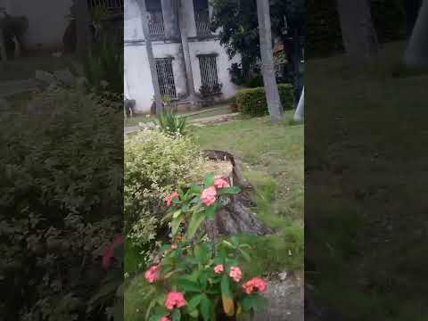 El interior del museo Agramonte en Camaguey, obra española