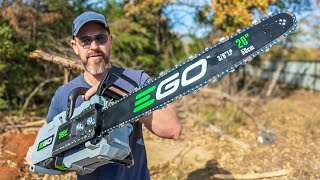 First Time Cutting Down a Huge Dead Tree (EGO 20 Chainsaw Challenge)