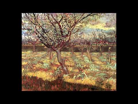 Vahram Sarkissian and David Balasanyan - Tsirani Tsar / Free Improvisation 2018, Montreal (Van Gogh)