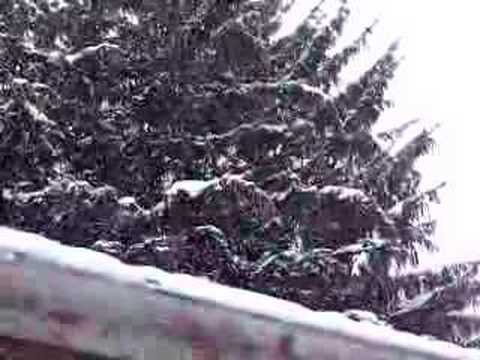 2007-01-28 It's Snowing