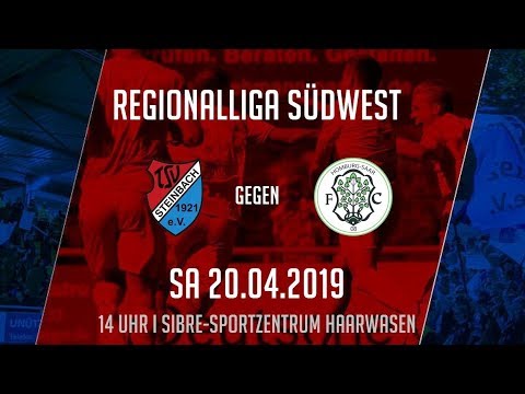 TSV Steinbach Haiger - FC Homburg 2:2 (Regionalliga Südwest 2018-19)