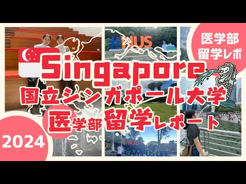 看護学科 【医学部留学】国立シンガポール大学医学部留学の１ヶ月間に密着！ #医学部 #留学