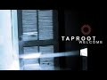 Taproot - Art