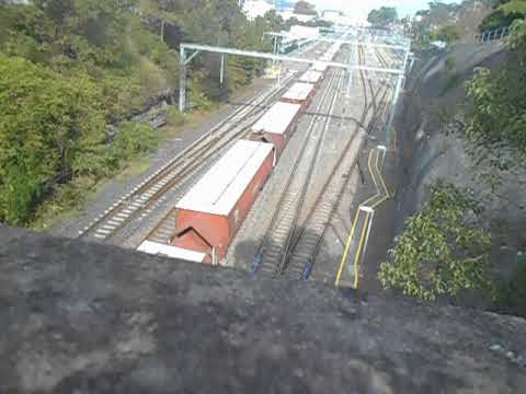 3444 C510,C506,RL305,C504 AT REAR  C509 AND G513 WITH SSR GRAIN HEADING NORTH AT GOSFORD