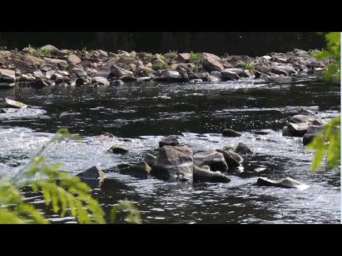 Vazão do Rio Piracicaba fica abaixo da média para época