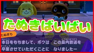 【あつ森】８日目 本日をもってたぬきは解雇処分になりました【全魚虫補完計画】【あつまれどうぶつの森】