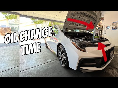 2020 Toyota Corolla Oil Change! Super Easy