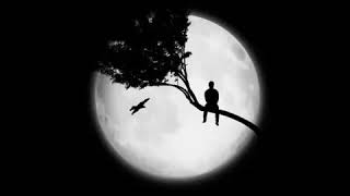 Download lagu Story Wa 30 Detik Keren❗ || Dusk Till Dawn | Bikin Tidur Nyenyak😴 mp3 Download lagu Story Wa 30 Detik Keren❗ || Dusk Till Dawn | Bikin Tidur Nyenyak😴 mp3