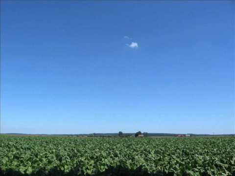 Flamson & Dzikus - Niebo