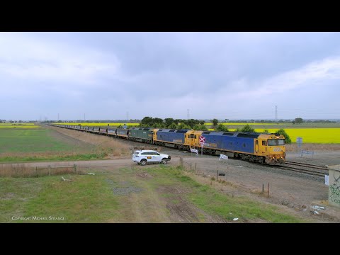 7736V Pacific National Grain Train With G525 BL32 G520 At Gheringhap (18/9/2023) - PoathTV Railways