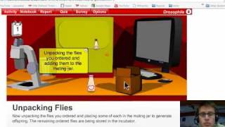 AP Biology Lab 7: Genetics of Drosophila