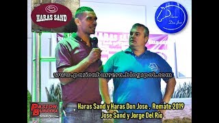 2° Remate Haras Sand y Haras Don José 2019