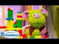 1 Hour Of Pajanimals Full Episodes 1 Hour Of Cartoons For Kids Pajanimals