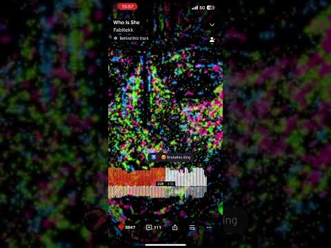 Who Is She - Fabitekk