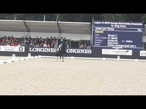 secret rvilisays lynn thomas 20190803horsemail 184243