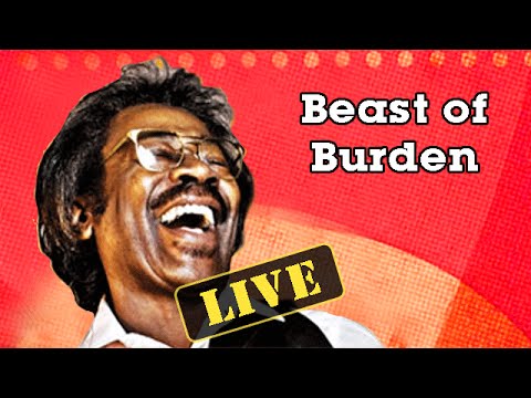 Buckwheat Zydeco: "Beast of Burden" - Buckwheat's World #30