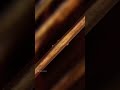 What You Find When You Zoom In On Hair Shorts Funny Comedy Cool Zoomin Viral