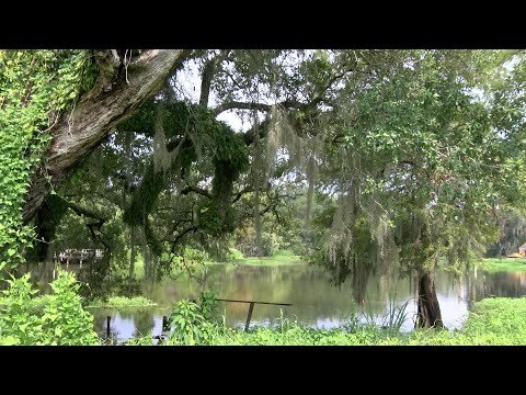 download lagu mp3 mp4 Bayou Corne Sinkhole, download lagu Bayou Corne Sinkhole gratis, unduh video klip Bayou Corne Sinkhole