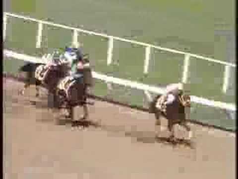 1984 Breeders' Cup Sprint