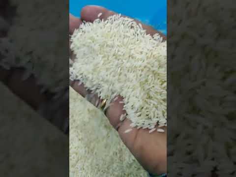 White sona masoori rice, packaging type: loose