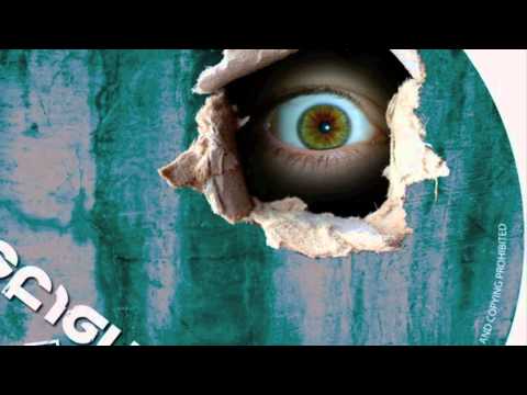 Von D and Riskotheque  --  Like A Bird