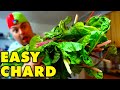 How To Cook SWISS CHARD That Will Melt In Your Mouth