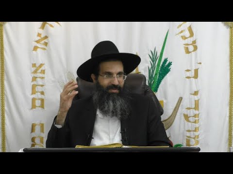 הלכות שבת - קכ' - דיני מוקצה 🕯 משנה ברורה סימן טש שי | חלק 534 | הרב שי עובד
