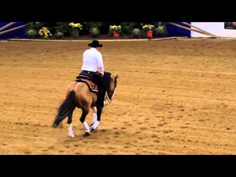 Gunner Dun It Again ridden by Joao Felipe Lacerda - 2015 NRBC(Open Classic - Finals)