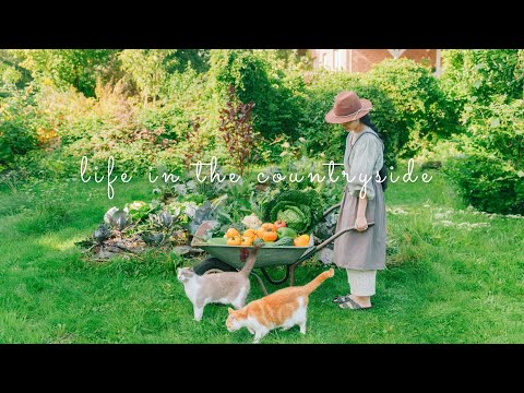 , title : '#120 September in my cottage home | Harvest Veggies, Cooking simple dishes,… | Daily Life Vlog'