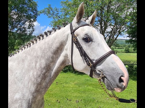 Cowboy Van Overis Z - Jumping Video