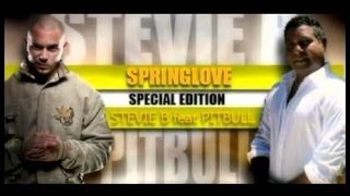 STEVIE B VS  PITBULL - SPRING LOVE [www.ilove80.com.br]