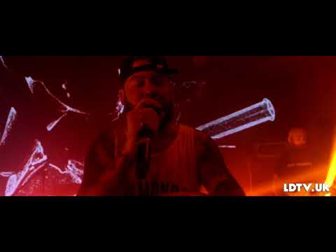 PENGSHUi - 'Wiseman' live for LDTV!!!!