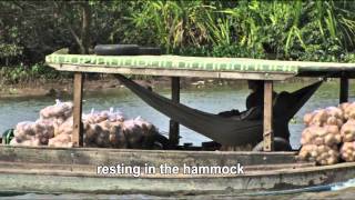 VIETNAM IV, The Mekong Delta