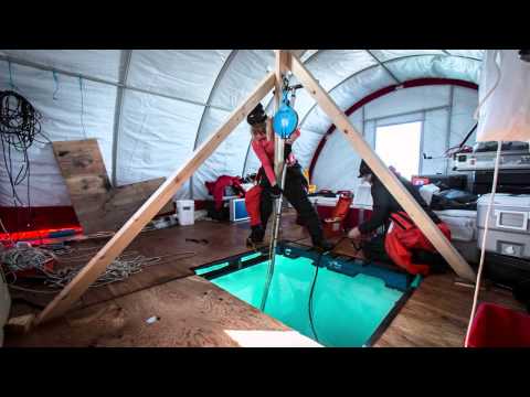 Ocean Sampling Day 2014 at Cambridge Bay