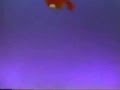 Sesame Street ElmoDemonstrates Top Bottom