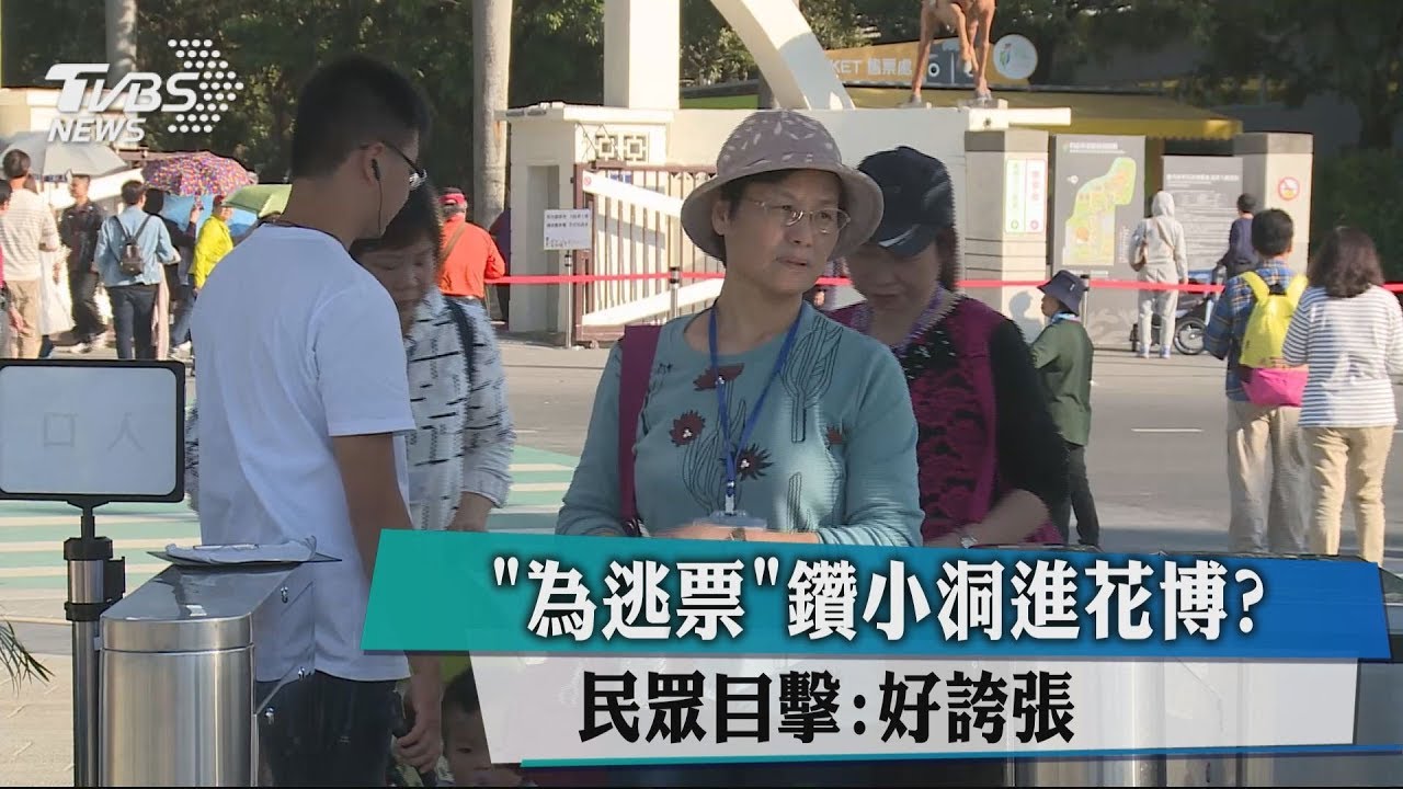 「為逃票」鑽小洞進花博? 民眾目擊:好誇張