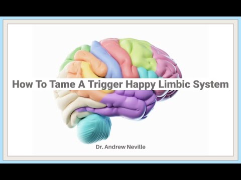 How To Tame A Trigger Happy Limbic System