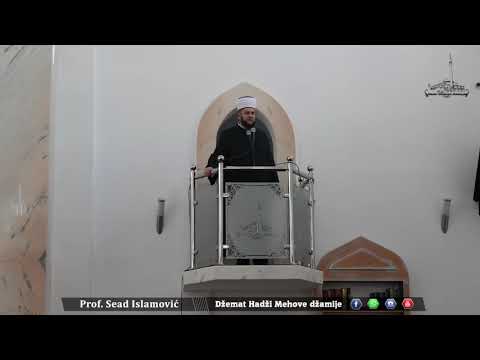 Zivimo u vremenu gde  jedna majka moze da brine o desetoro djece - Prof, Sead Ef. Islamovic