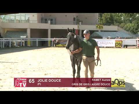 Show AQPS Ouest 2021 - Lot  65