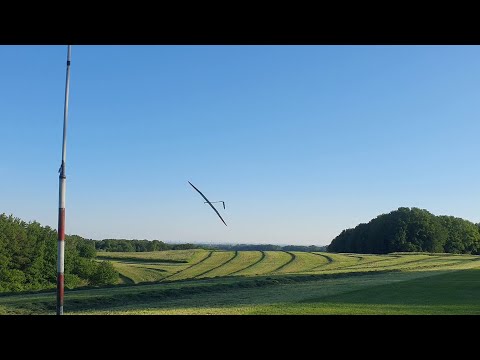 F5J | Wenns Sigi in den Fingern juckt | 4m Explorer BF mal anders