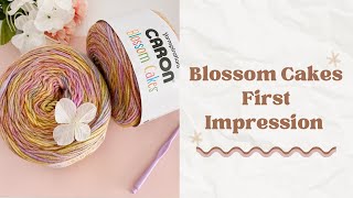 Caron Blossom Cakes Yarn First Impression