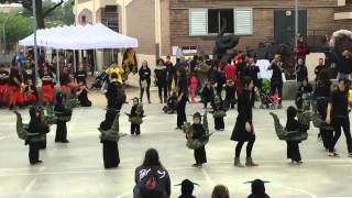 Dragonets de Granollers