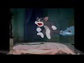 Tom Cat Screams But They Re Voiced By Calli